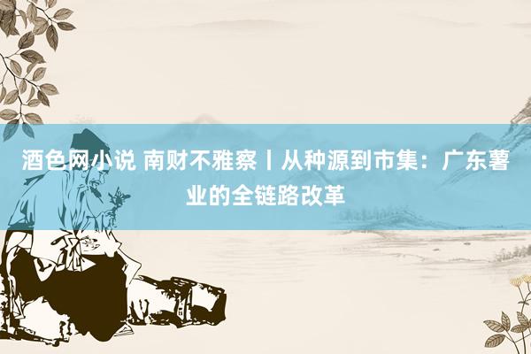 酒色网小说 南财不雅察丨从种源到市集：广东薯业的全链路改革