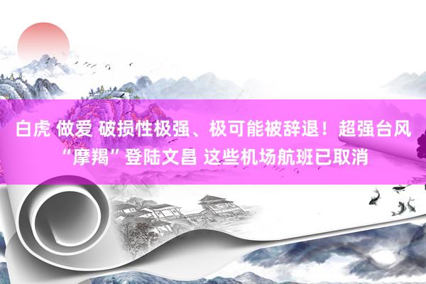 白虎 做爱 破损性极强、极可能被辞退！超强台风“摩羯”登陆文昌 这些机场航班已取消