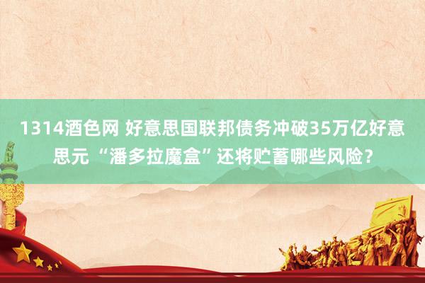 1314酒色网 好意思国联邦债务冲破35万亿好意思元 “潘多拉魔盒”还将贮蓄哪些风险？