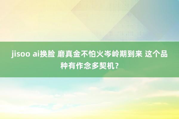 jisoo ai换脸 磨真金不怕火岑岭期到来 这个品种有作念多契机？