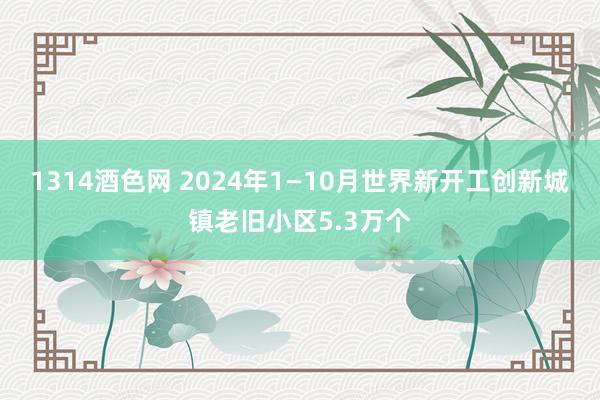 1314酒色网 2024年1—10月世界新开工创新城镇老旧小区5.3万个