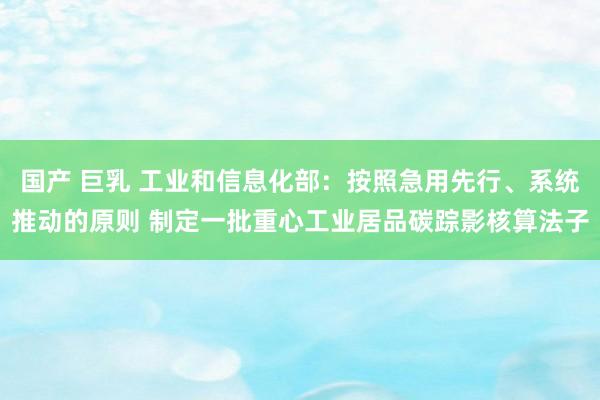 国产 巨乳 工业和信息化部：按照急用先行、系统推动的原则 制定一批重心工业居品碳踪影核算法子