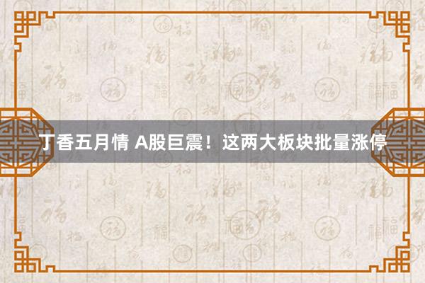 丁香五月情 A股巨震！这两大板块批量涨停