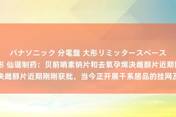 パナソニック 分電盤 大形リミッタースペース付 露出・半埋込両用形 仙琚制药：贝前哨素钠片和去氧孕烯决雌醇片近期刚刚获批，当今正开展干系居品的挂网及销售准备职责