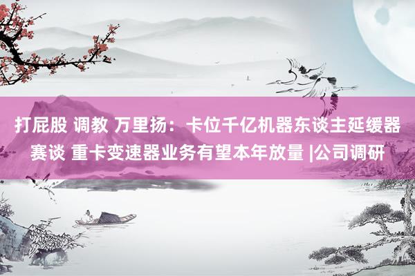 打屁股 调教 万里扬：卡位千亿机器东谈主延缓器赛谈 重卡变速器业务有望本年放量 |公司调研