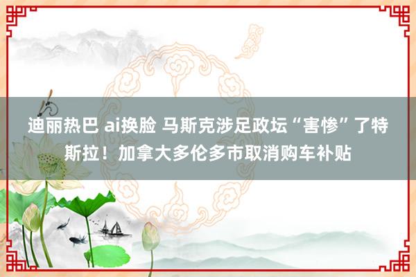 迪丽热巴 ai换脸 马斯克涉足政坛“害惨”了特斯拉！加拿大多伦多市取消购车补贴
